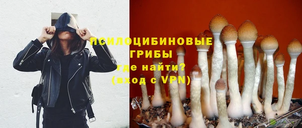 ECSTASY Абинск