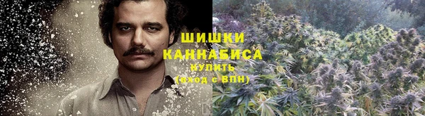 амфетамин Новодвинск