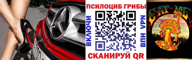 купить закладку  Спас-Клепики  мориарти какой сайт  Псилоцибиновые грибы GOLDEN TEACHER 